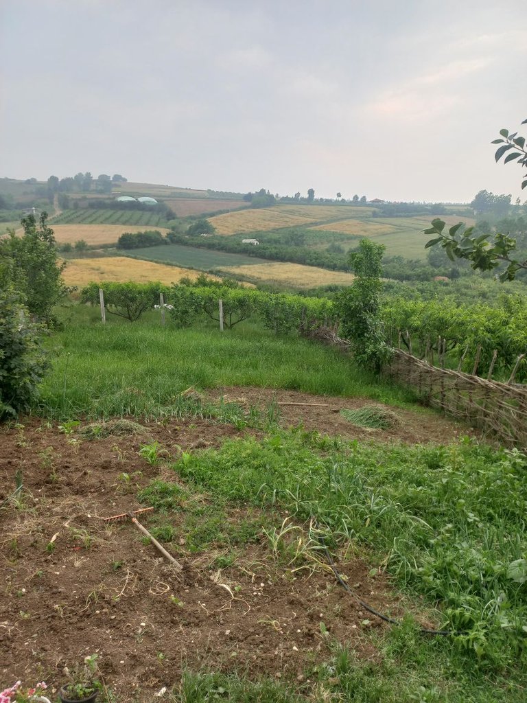 اقامتگاه تیکا 