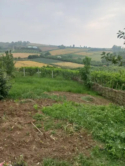 کلبه اقامتگاه تیکا 