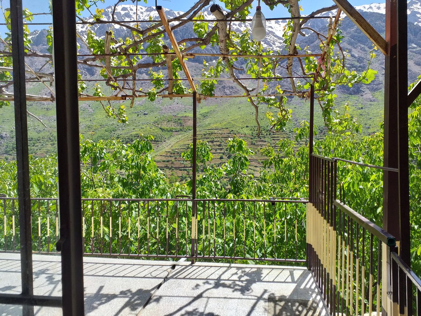 یک خوابه حیدر