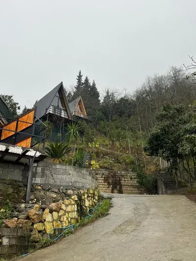 کلبه یک خوابه جنگلی جکوزی دار آلفا