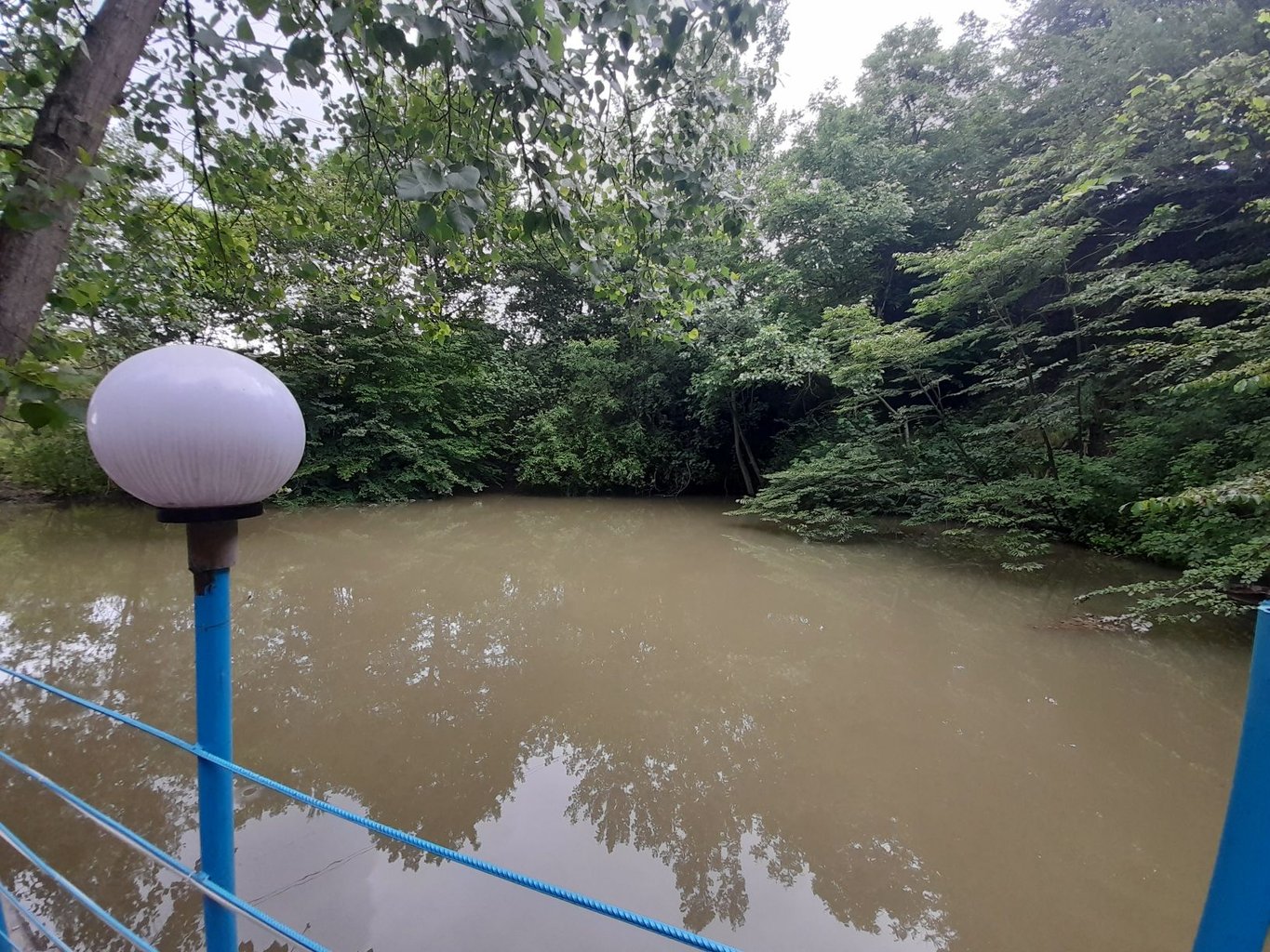 بالی - واحد 1