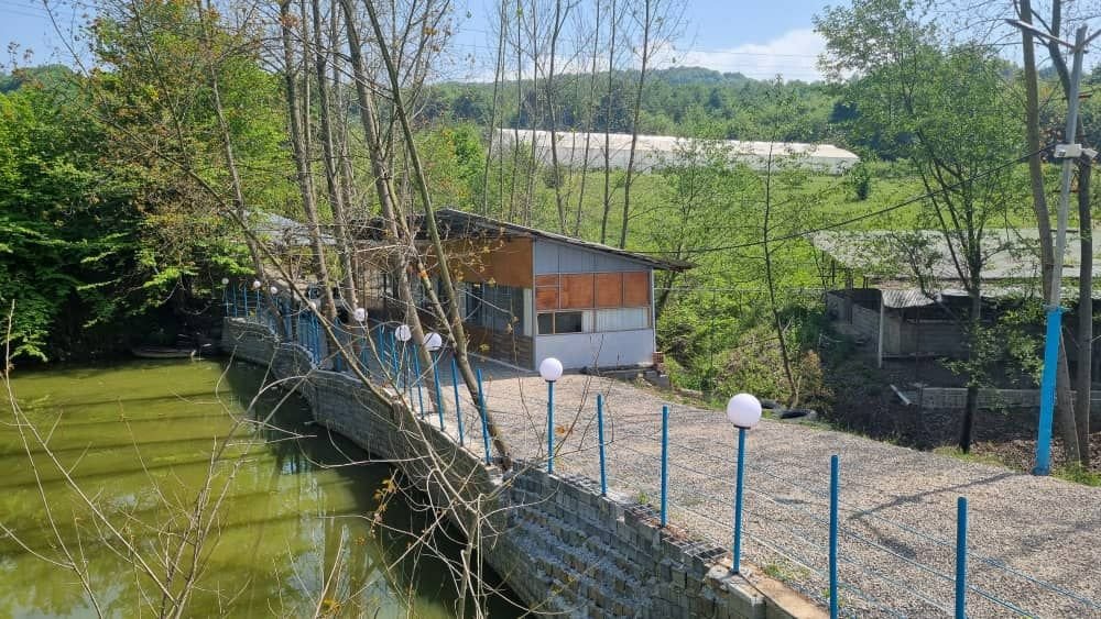 بالی - واحد 3