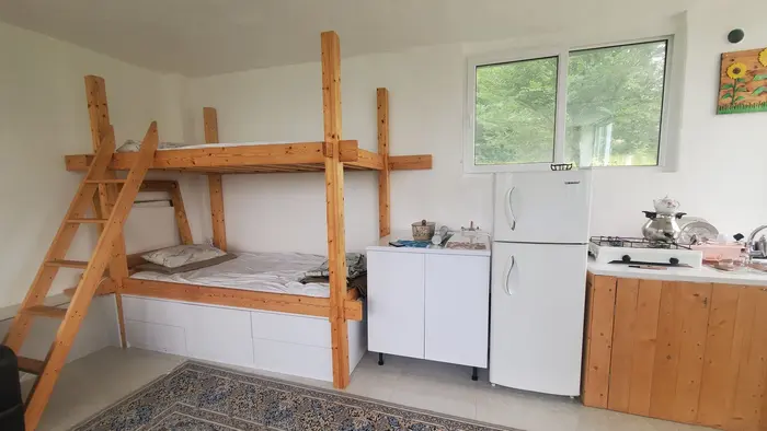 کلبه فلت جنگلی تپه سبز