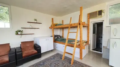 کلبه فلت جنگلی تپه سبز