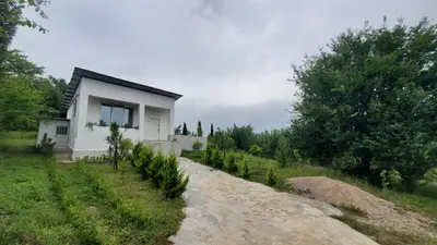 کلبه فلت جنگلی تپه سبز