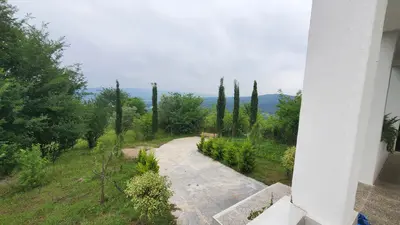 کلبه فلت جنگلی تپه سبز