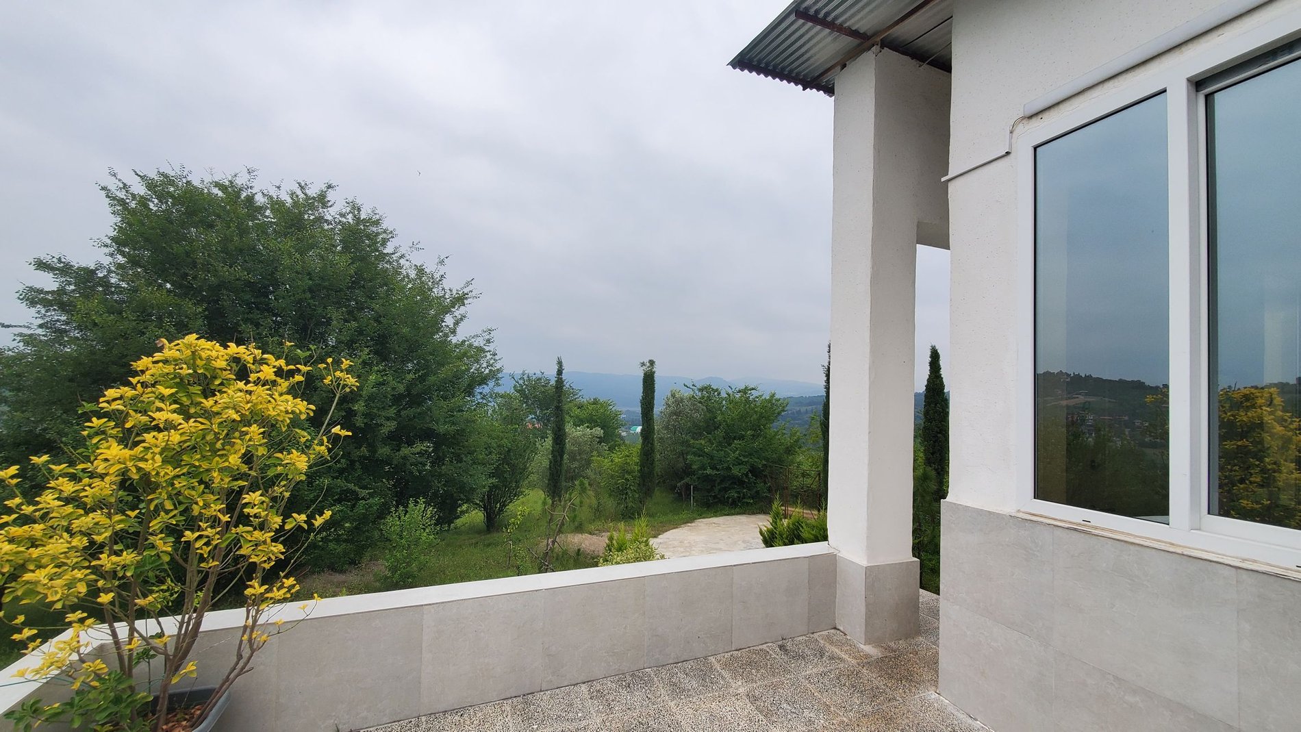 فلت جنگلی تپه سبز