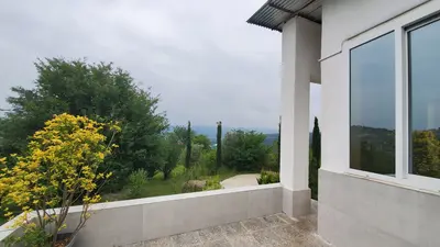 کلبه فلت جنگلی تپه سبز