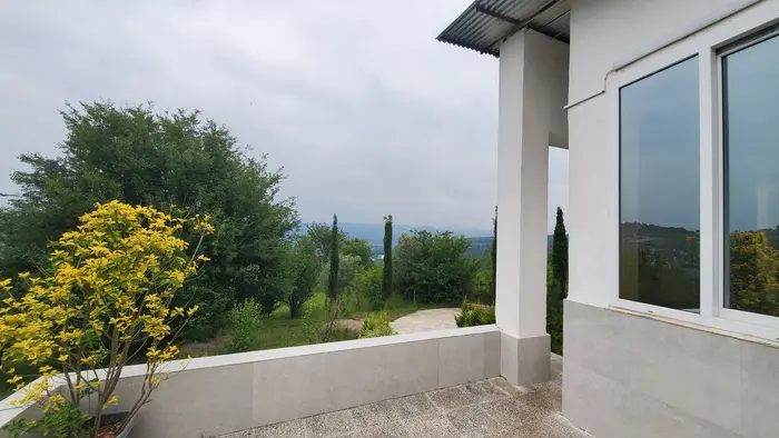 کلبه فلت جنگلی تپه سبز