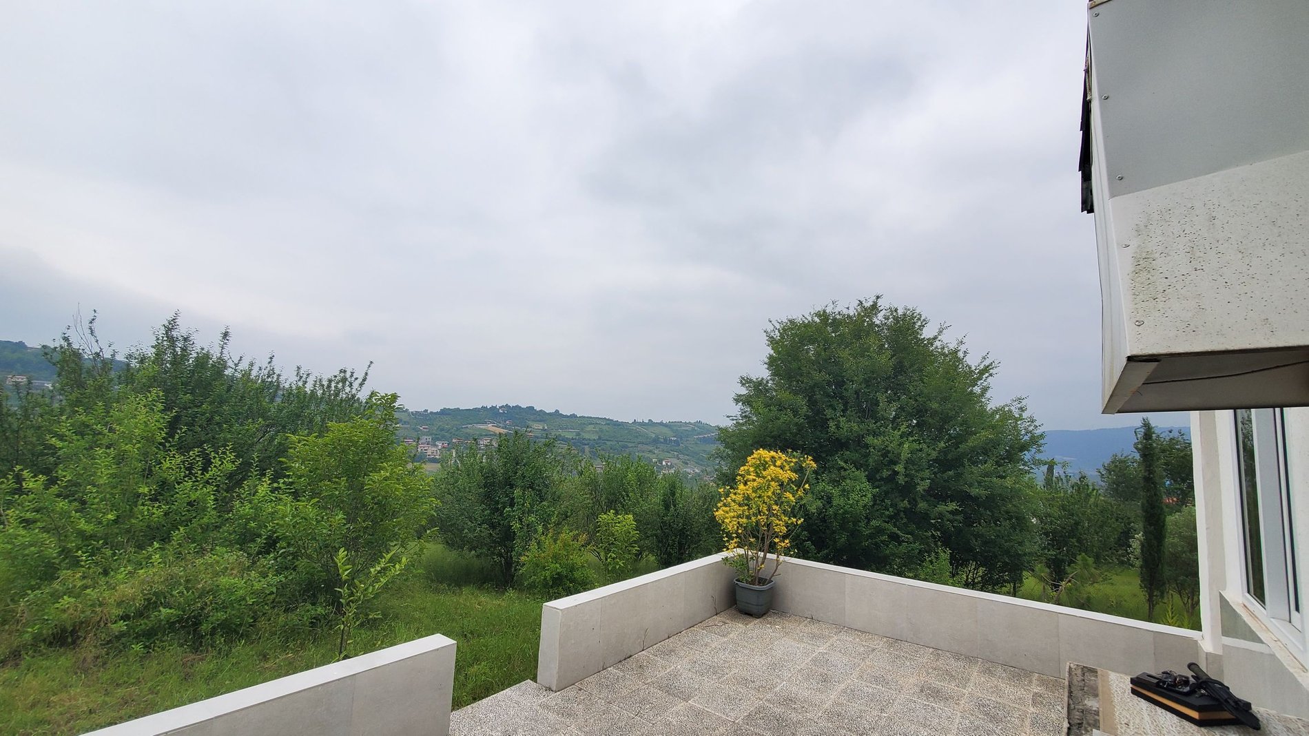 فلت جنگلی تپه سبز