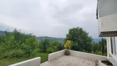 کلبه فلت جنگلی تپه سبز