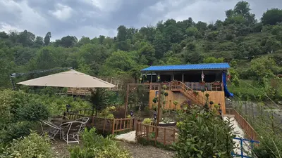 کلبه فلت جنگی صنوبر