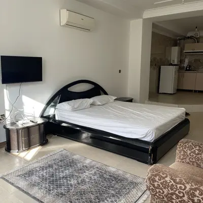 آپارتمان یک خوابه جنگلی میلکان ۲