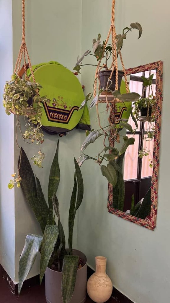 بومگردی بوم هرمزی - واحد ۶ - واحد ۲