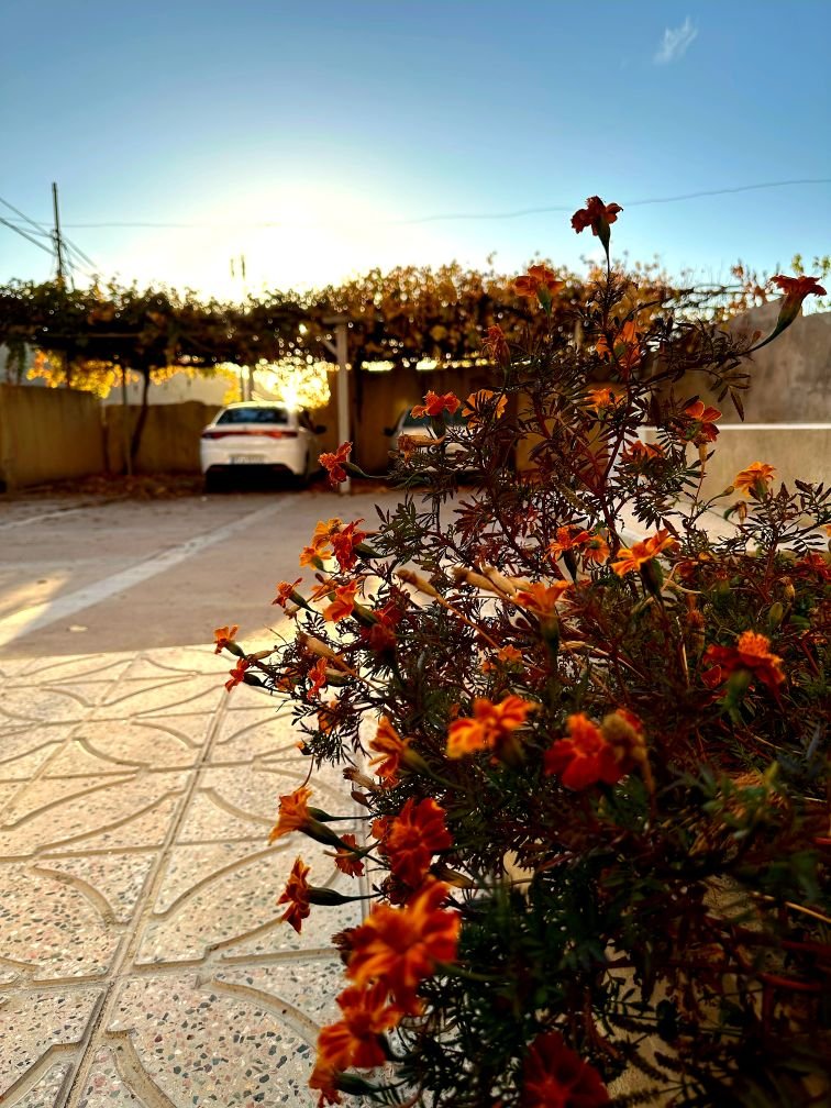 دوخوابه خلیج فارس 11