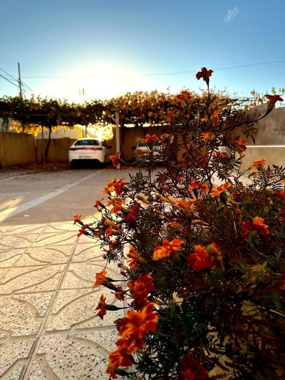 ویلا دوخوابه خلیج فارس 11