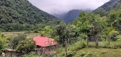 ویلا دوخوابه جنگلی آریانا 1