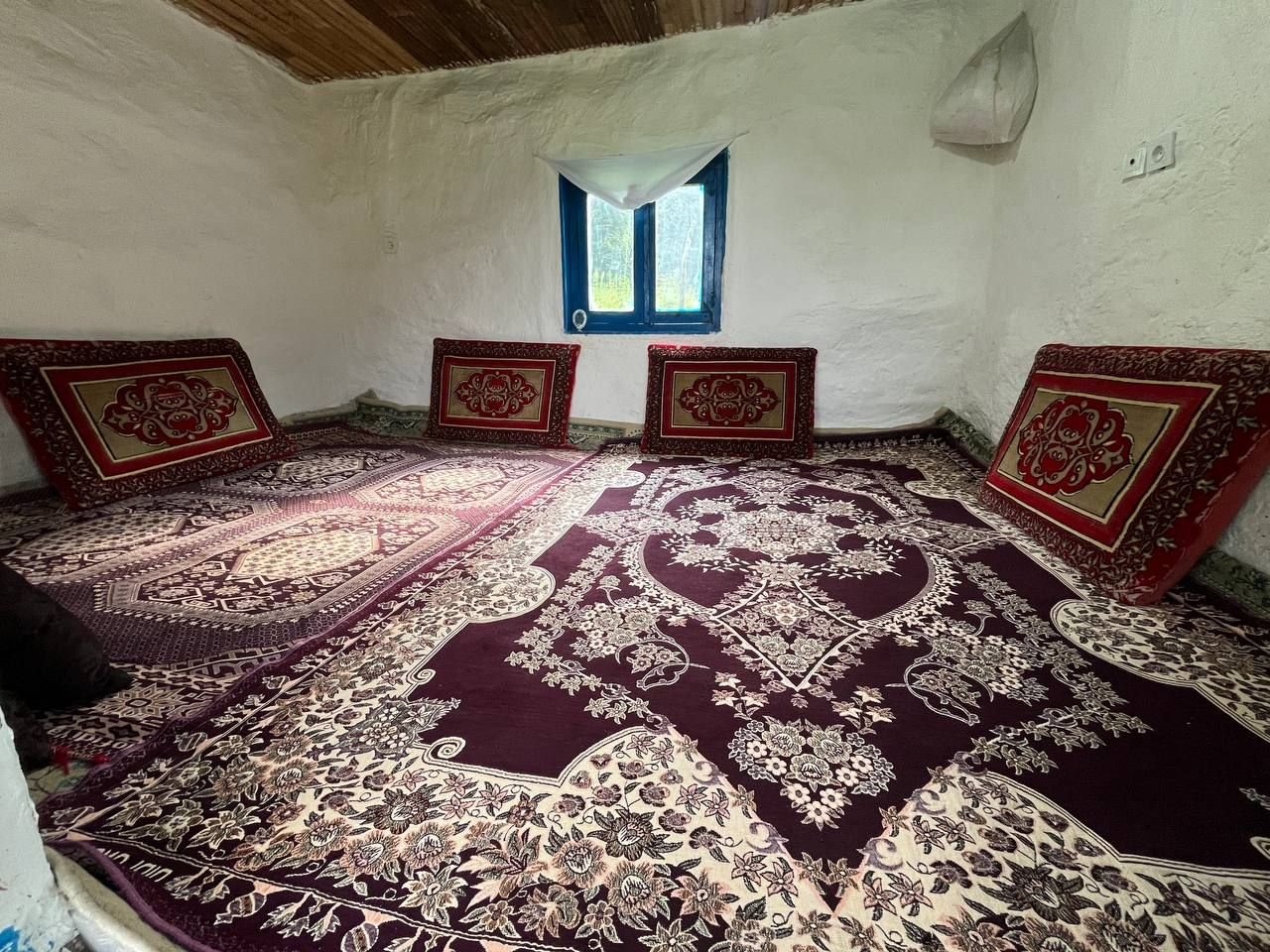 کلبه فلت جنگلی میان رز