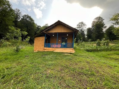 کلبه فلت جنگلی میان رز