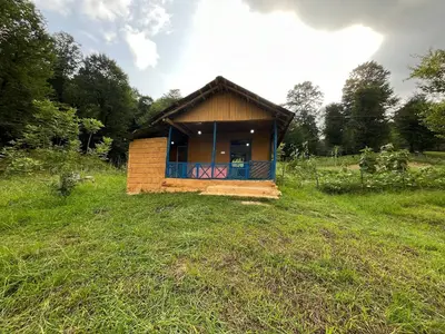 کلبه فلت جنگلی میان رز