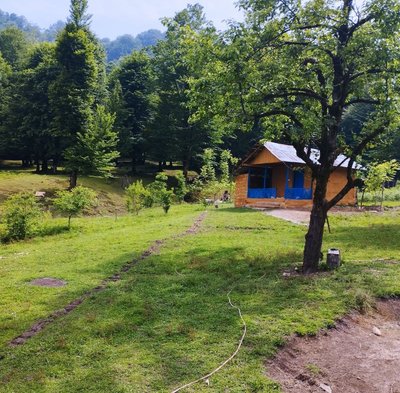 کلبه فلت جنگلی میان رز