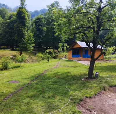 کلبه فلت جنگلی میان رز