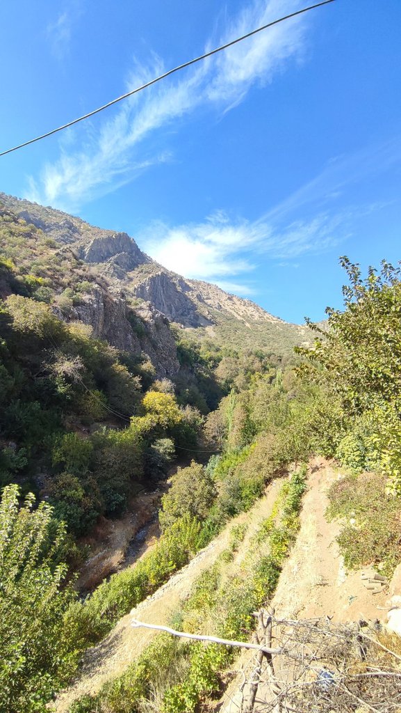 یک خوابه فلاحی 2