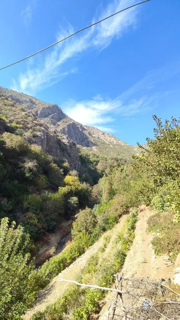 ویلا یک خوابه فلاحی 2