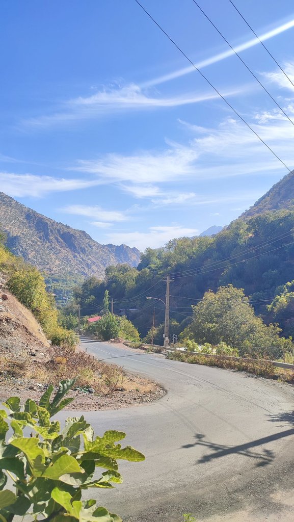 یک خوابه فلاحی 2