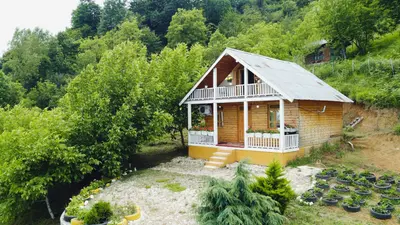 کلبه یک خوابه چوبی عمو کوروش