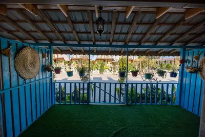 سوئیت چیکا - واحد بید