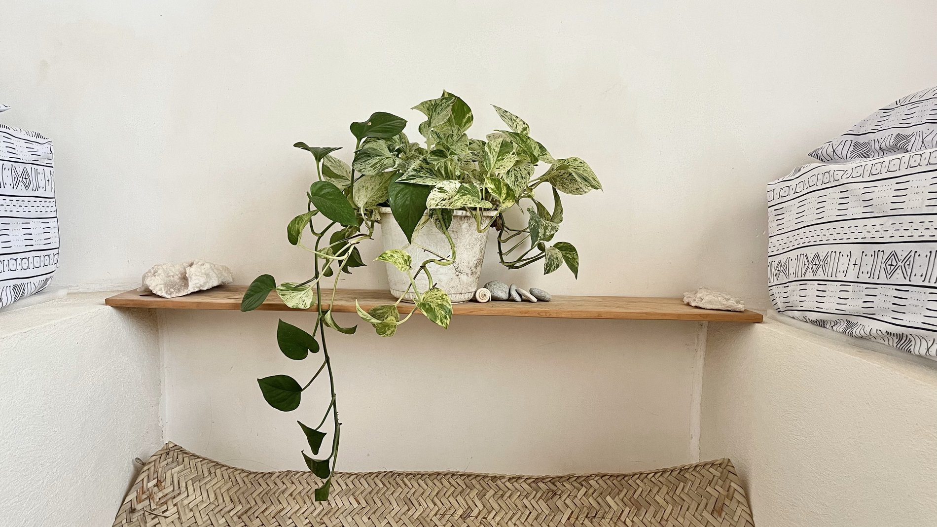 خانه کوچ - واحد دوست