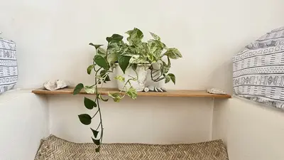 بومگردی خانه کوچ - واحد دوست