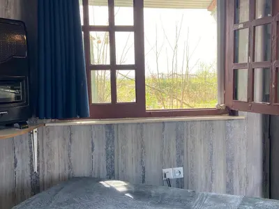 بومگردی تی تی - واحد بید مجنون