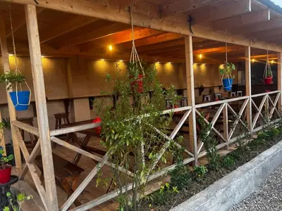 بومگردی انارگول - واحد تی تی