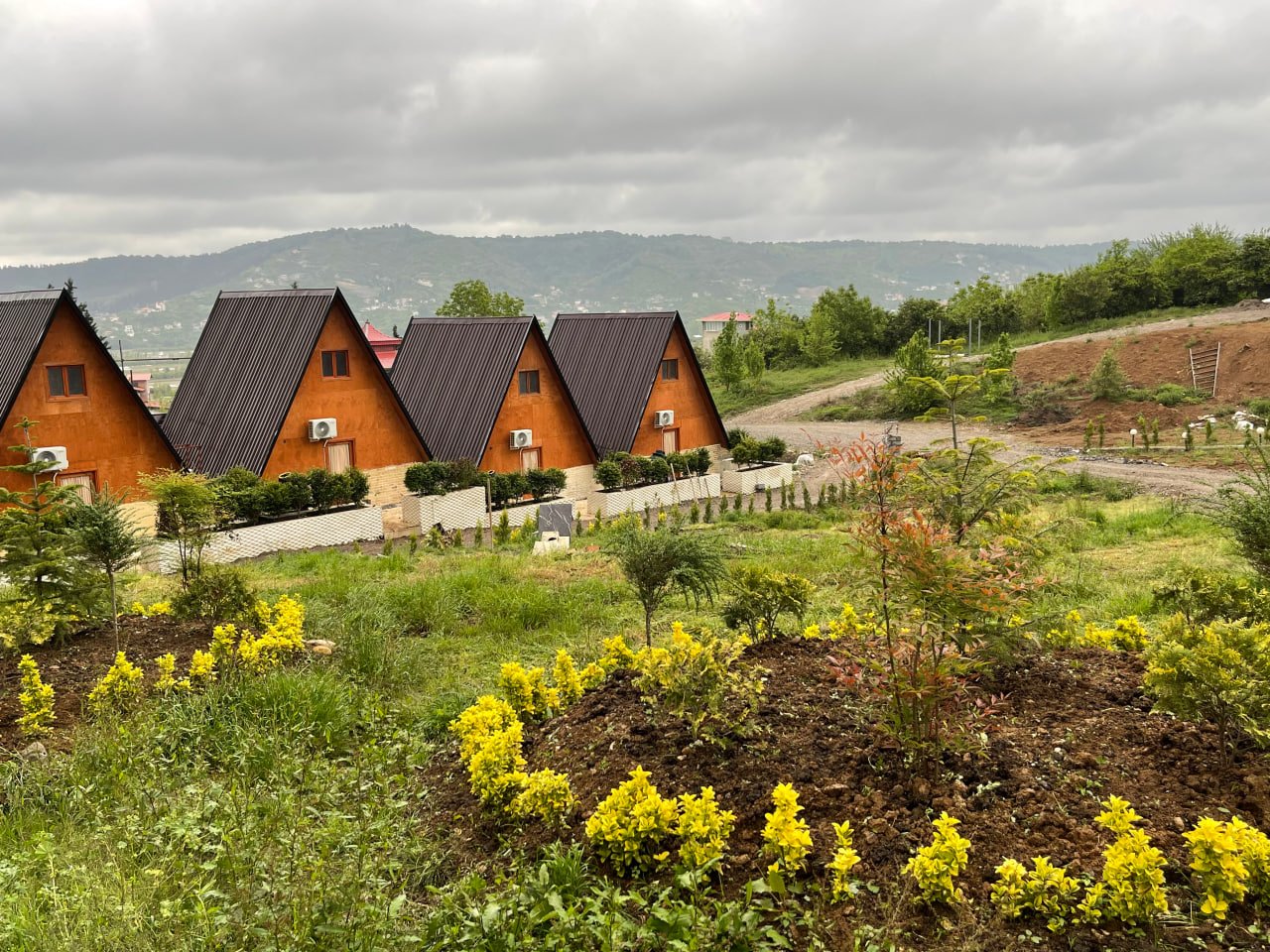 یک خوابه دوبلکس سوئیسی جنگلی کاووس کبریا