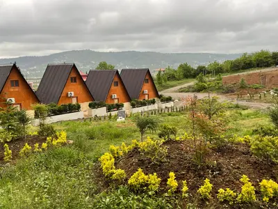 کلبه یک خوابه دوبلکس سوئیسی جنگلی کاووس کبریا