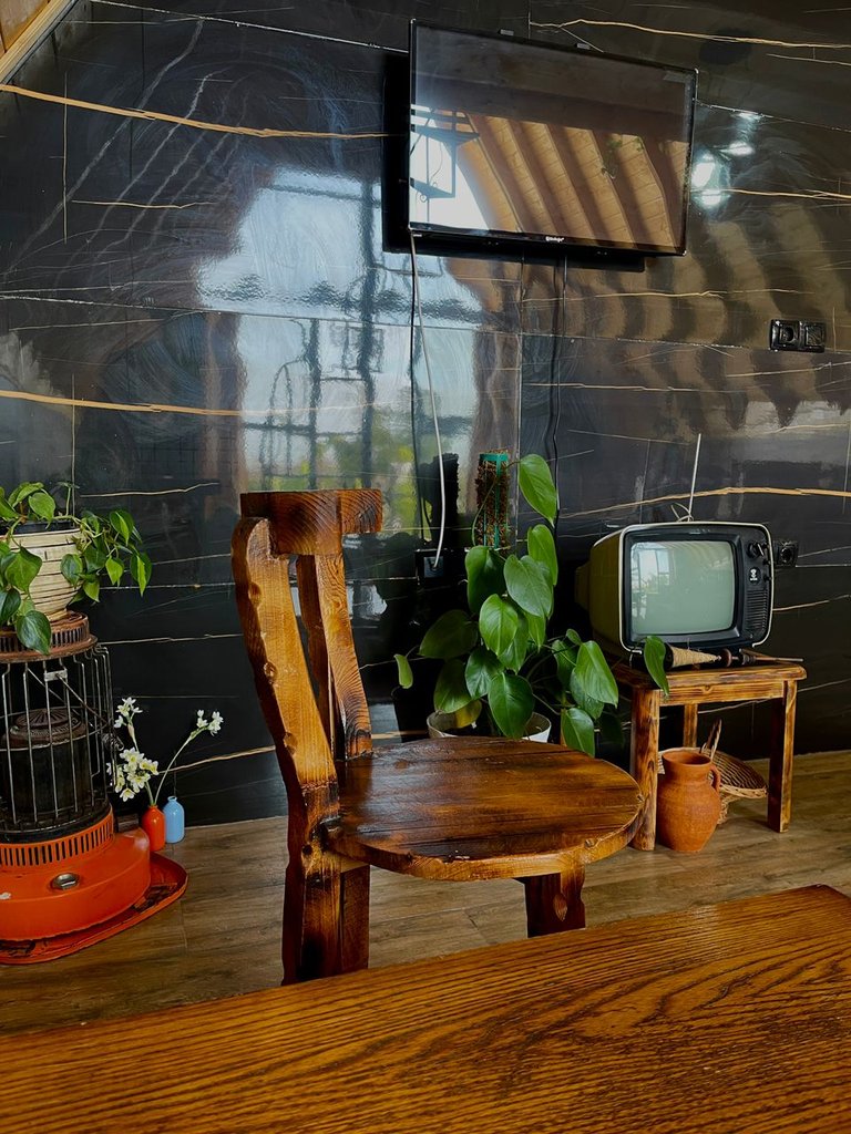 یک خوابه سوئیسی کیوی