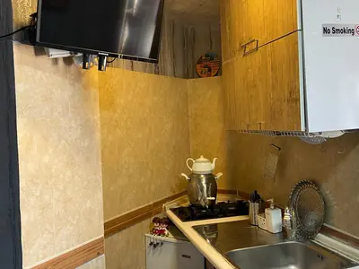 بومگردی تی تی - واحد بید مجنون