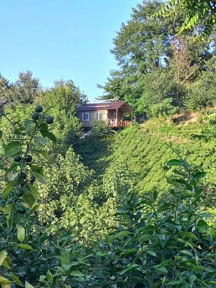 کلبه فلت دهکده ماسو