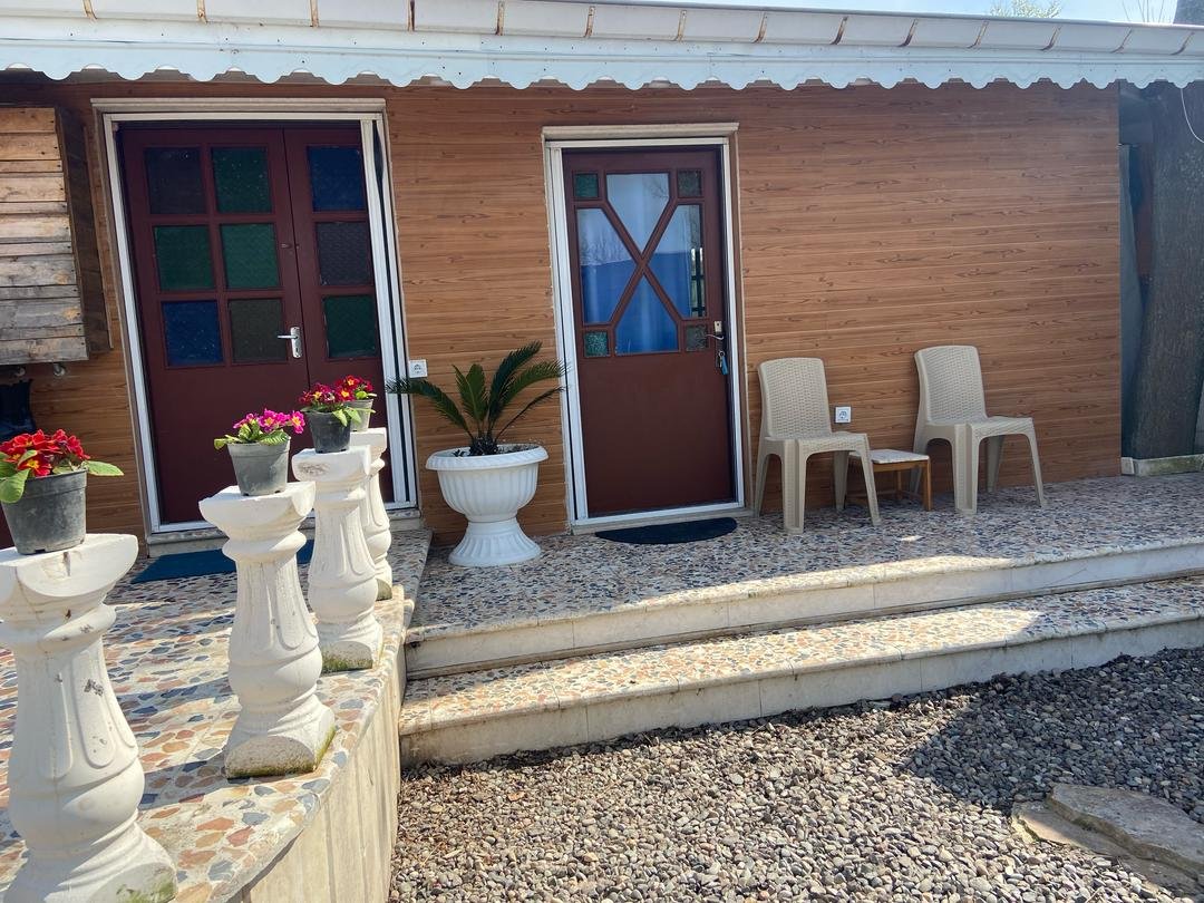 تی تی - واحد بید مجنون