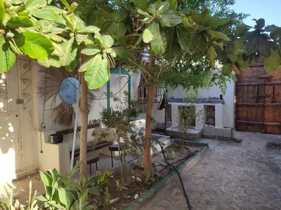 بومگردی کارا دنیز - واحد 2