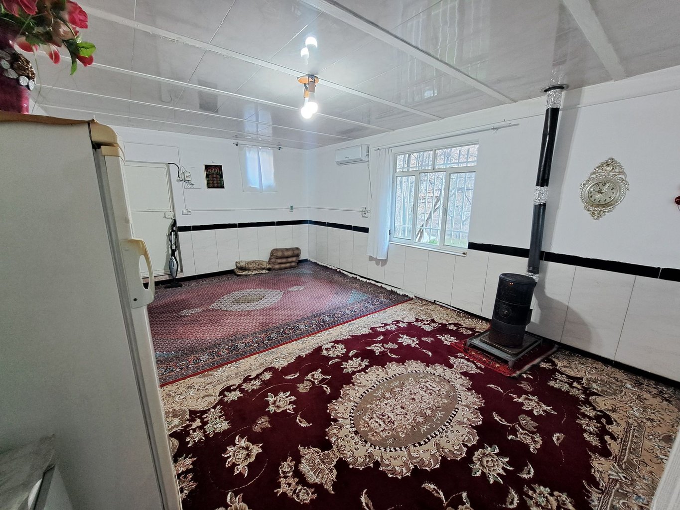 فلت جنگلی سوژین