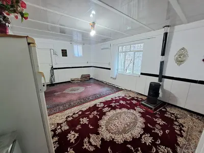 سوئیت فلت جنگلی سوژین