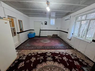 سوئیت فلت جنگلی سوژین