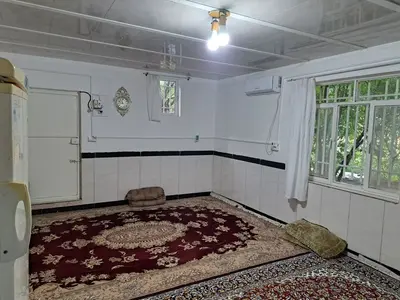 سوئیت فلت جنگلی سوژین