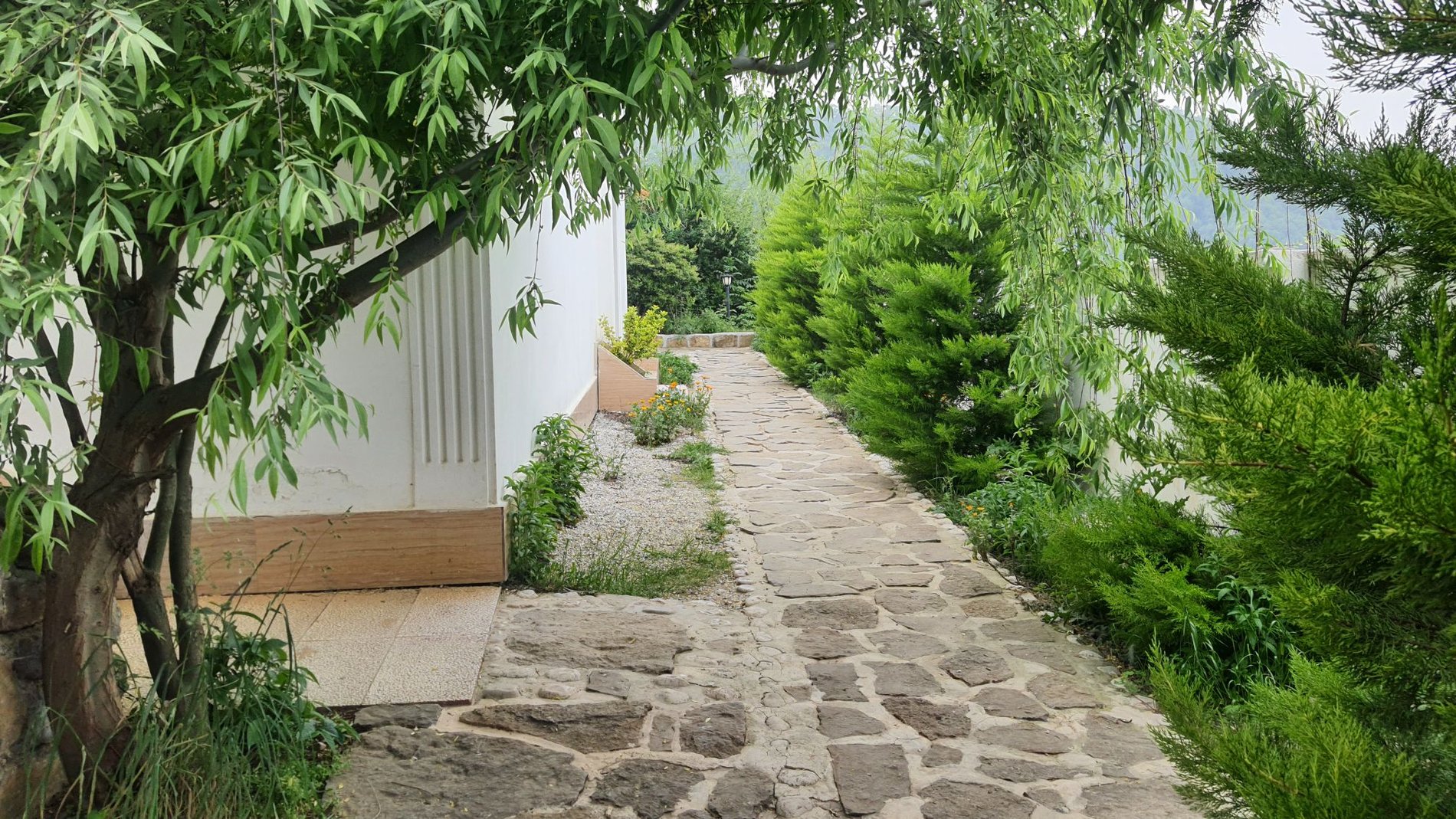 یک خوابه ریگ چشمه 1