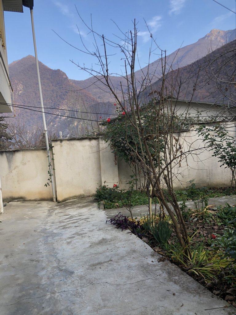 ویلا فلت آرامش 6