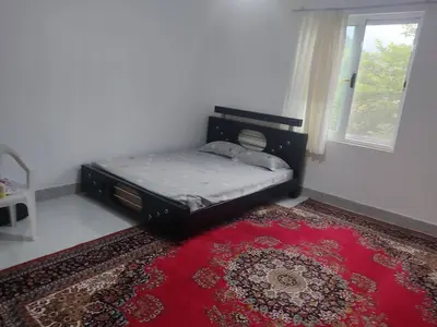 سوئیت یک خوابه جنگلی گالش کلا