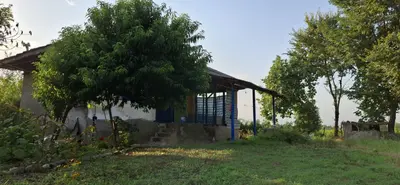 کلبه دوخوابه روستایی پاشاکی